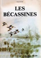 la Clé de détermination de l’âge et du sexe de la bécassine des marais Gallinago gallinago par l’examen du plumage